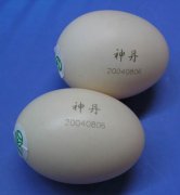 蛋壳打字